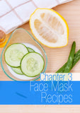 Problem Skin Face Masks Ebook (Digital Download Only)
